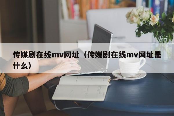 传媒剧在线mv网址（传媒剧在线mv网址是什么）